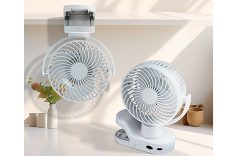 Fan Light