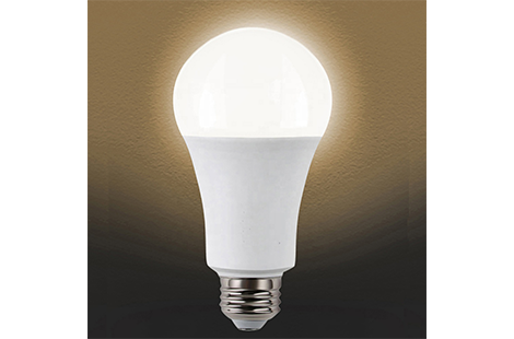 Motion Sensor LED Bulb